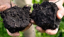WEBINAR: Can soil management practices build resilient production systems by improving soil health?